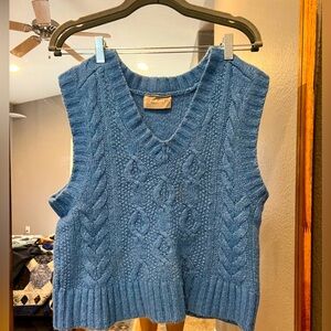 Everlane sweater vest